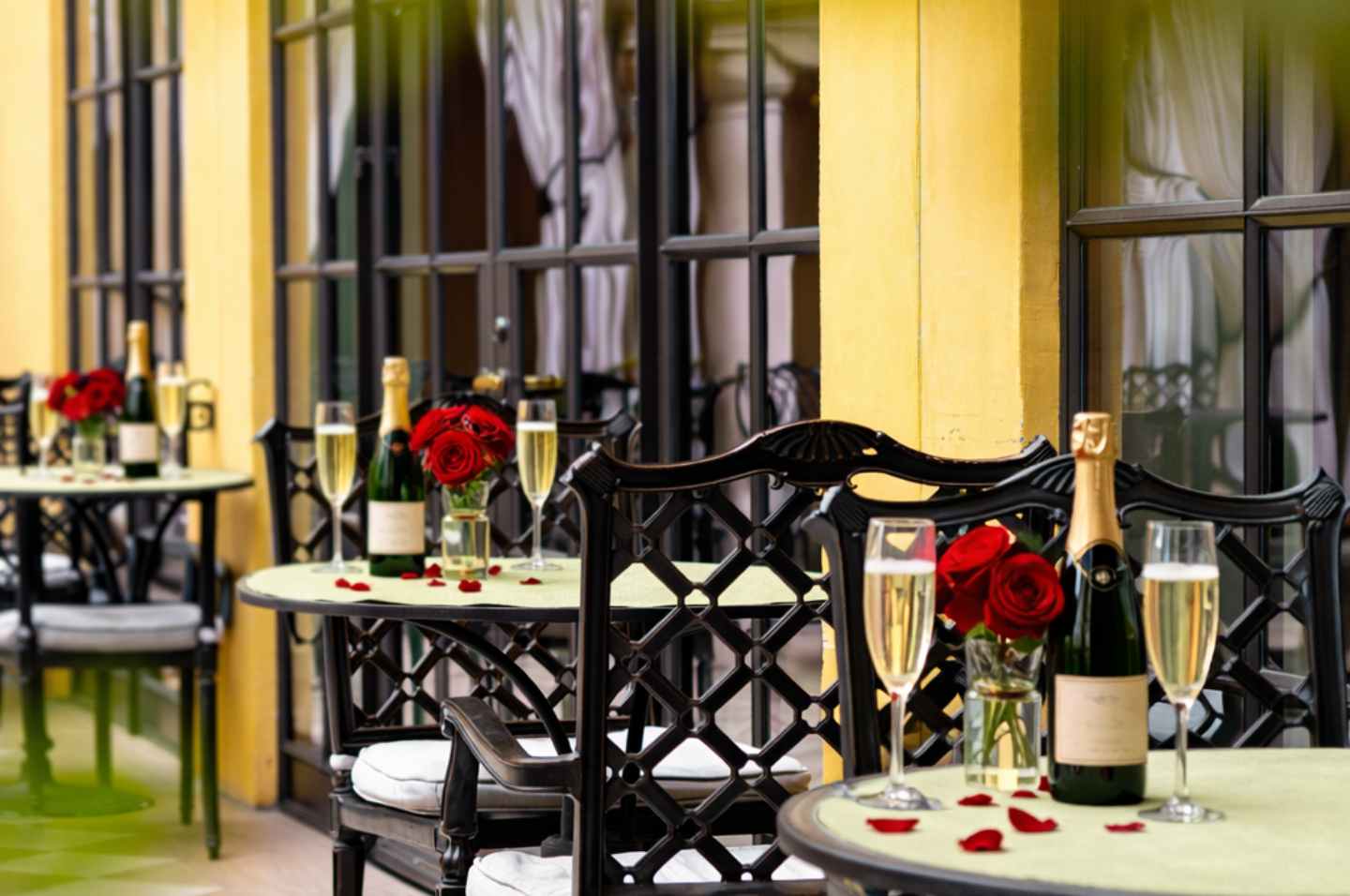 An Evening of Amore at Oveja Negra